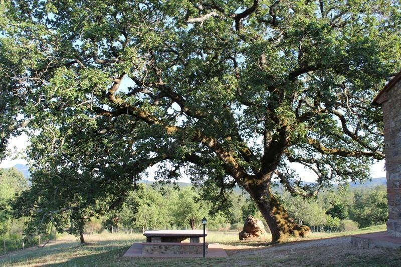 Agriturismo La Quercia Boccheggiano Εξωτερικό φωτογραφία