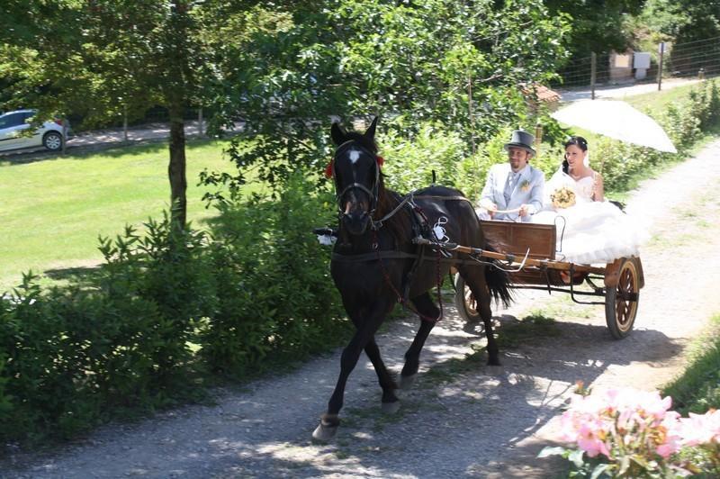 Agriturismo La Quercia Boccheggiano Εξωτερικό φωτογραφία